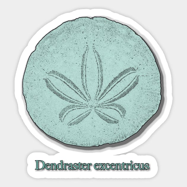 Mint Green Sand Dollar Seashell Design Sticker by StephJChild